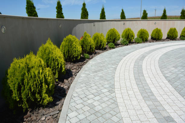Driveway Repair Near Me in Osage, IA